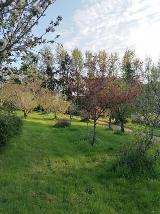 Chalet En Pleine Nature Au Bord D'Un Etang Lanvallay Esterno foto
