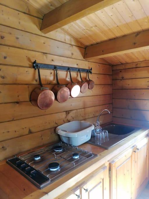 Chalet En Pleine Nature Au Bord D'Un Etang Lanvallay Esterno foto