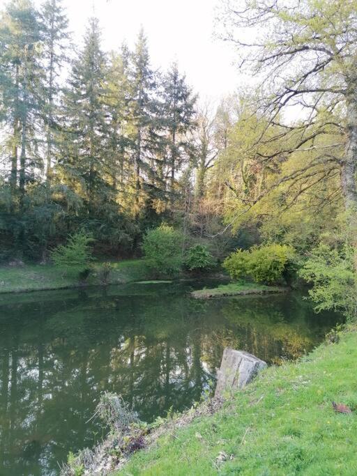 Chalet En Pleine Nature Au Bord D'Un Etang Lanvallay Esterno foto