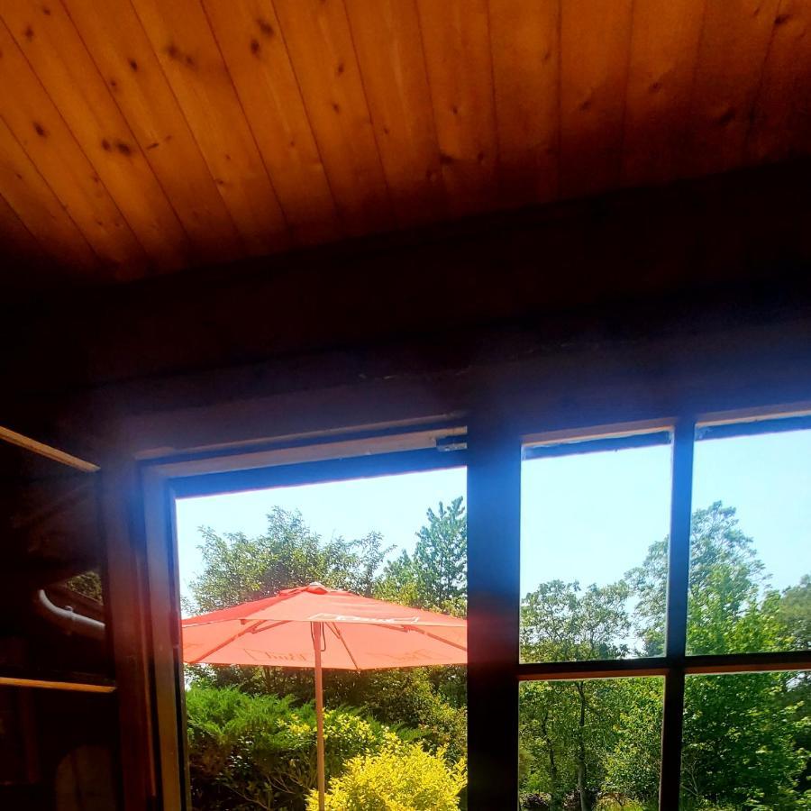 Chalet En Pleine Nature Au Bord D'Un Etang Lanvallay Esterno foto